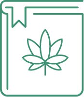 Уникальная генетика: марихуана сорта Белая Вдова - характеристик и особенности
